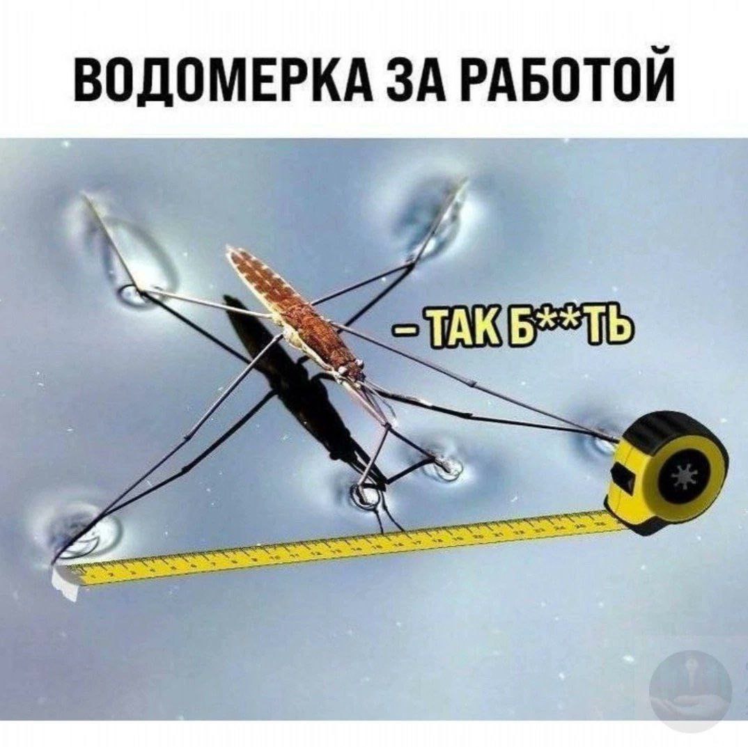 ВОДОМЕРКА ЗА РАБОТОЙ