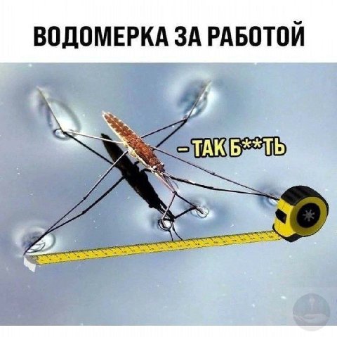 ВОДОМЕРКА ЗА РАБОТОЙ