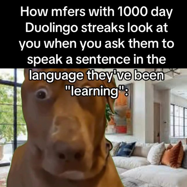 How mfers with 1000 day Duolingo streaks look at you when you ask them to speak a sentence the В language they've been "learning": К a