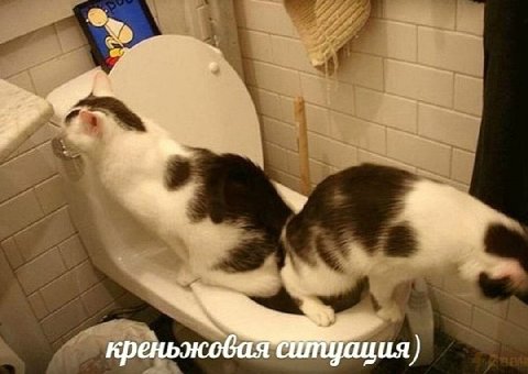 креньжовая ситцация)