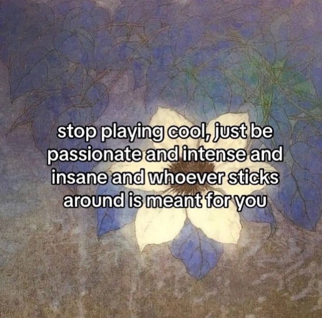 stop