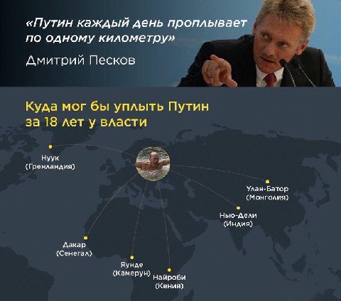 «Путин каждый день проплывает по одному километру» Дмитрий Песков Куда мог бы уплыть Путин за 18 лет у власти Нуук (Гренландия) 7 6 Улан-Батор (Монголия) Дели (Индия) Дакар. (Сенегал) Яунде (Камерун) 