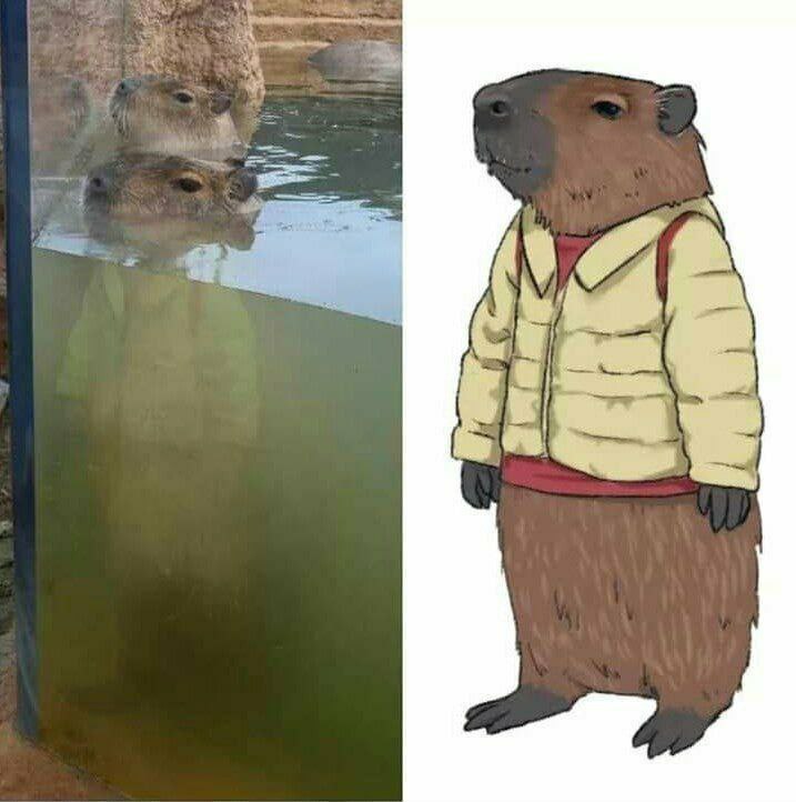 Е ef