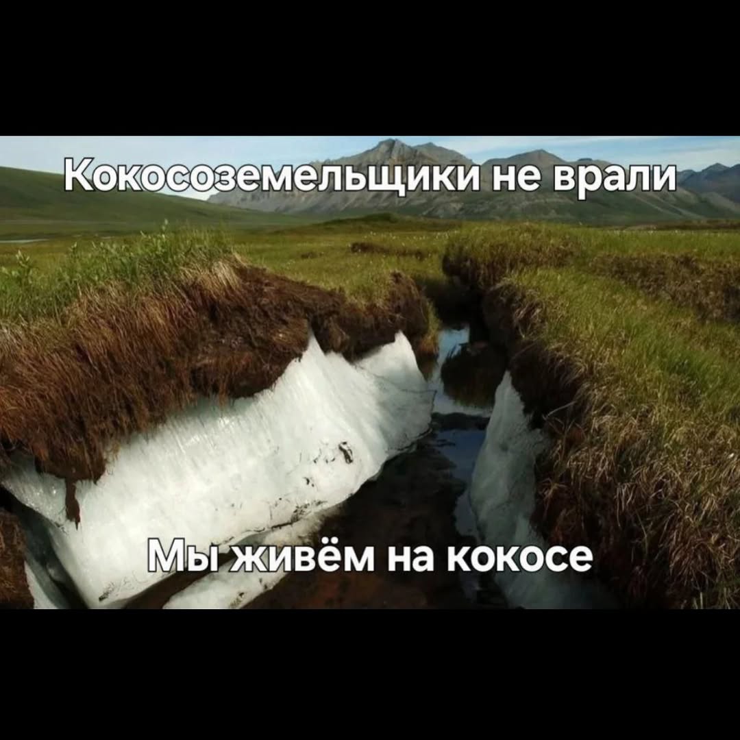Коко созе ьщики не врали ивём кокосе