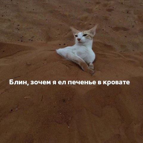 Блин, зочем яел печенье в кровате