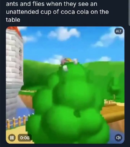 ants and flies when they see unattended cup of coca cola on the С
