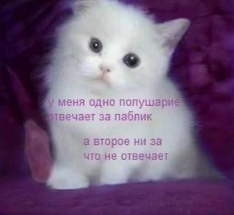 меня одно за паблик ни за