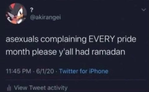 к @akirangei asexuals complaining EVERY pride month please y'all had ramadan 11:45 6/1/20 Twitter for iPhone View Tweet activity