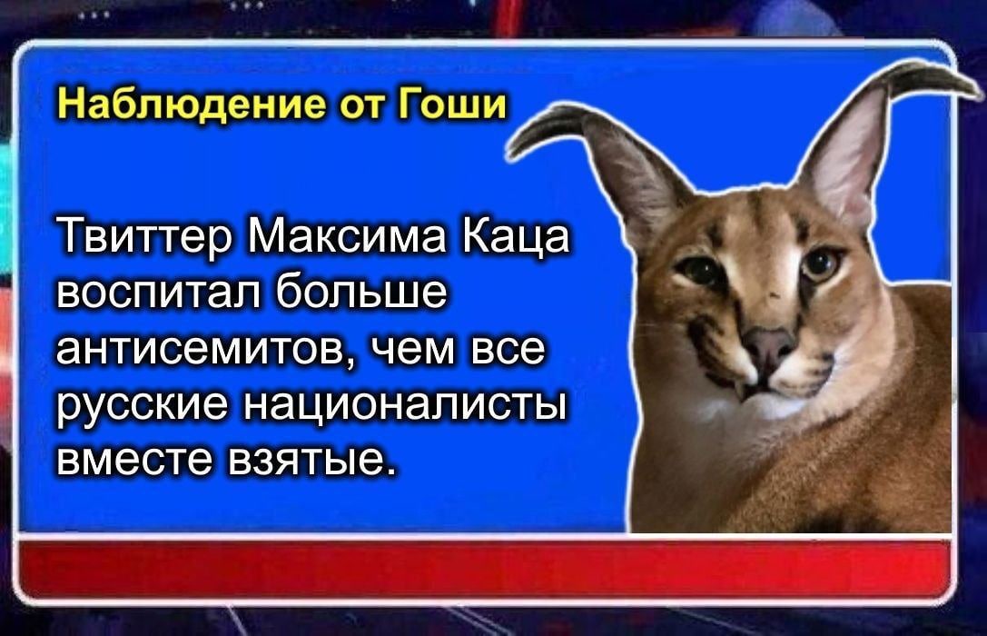 Наблюдение от Гоши Твиттер Максима Каца воспитал больше антисемитов, чем все русские националисты вместе взятые.