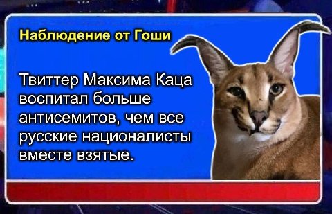Наблюдение от Гоши Твиттер Максима Каца воспитал больше антисемитов, чем все русские националисты вместе взятые.