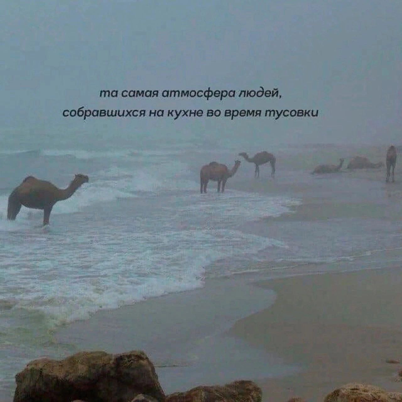 самая атмосфера людей, собравшихся на кухне во время тусовки