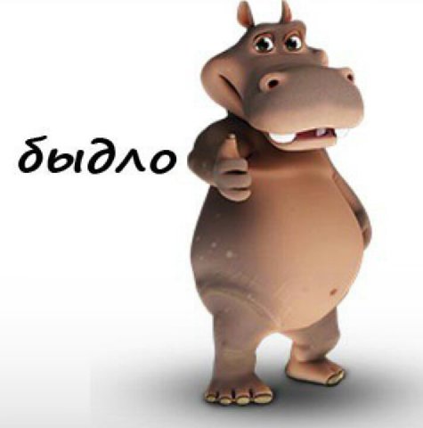 дыдло