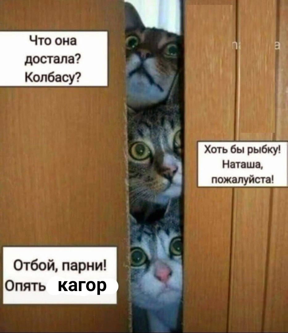 Что она a достала? Колбасу? Хоть бы рыбку! Наташа, пожалуйста! Отбой, парни! Опять кагор