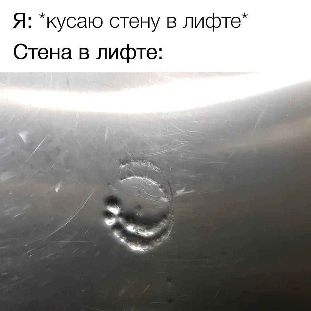 Я: *кусаю стену в лифте* Стена в лифте: FSA
