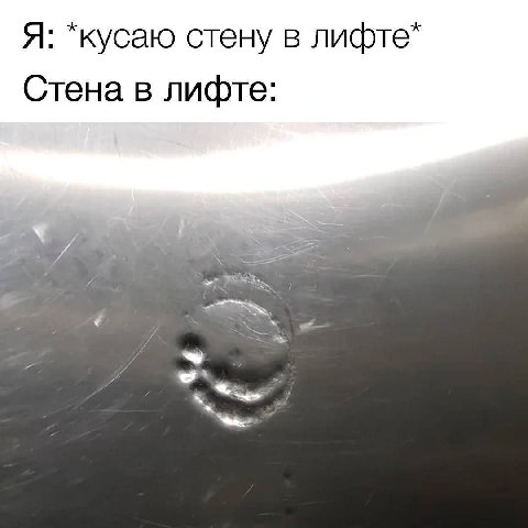 Я: *кусаю стену в лифте* Стена в лифте: FSA