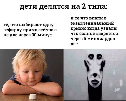 дети делятся на 2 типа: и что впали в что выбирают одну экзистенциальный кризис когда узнали зефирку прямо сейчас а не две через 30 минут что солнце взорвется через 5 миллиардов лет