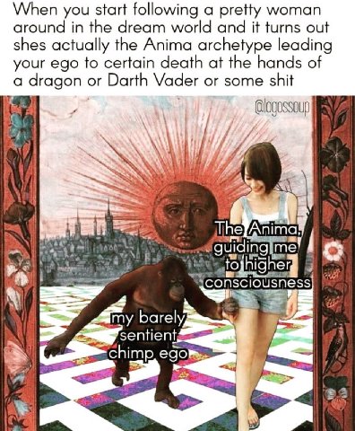 When you start following a pretty woman around in the dream world and it turns out shes actually the Anima archetype leading your ego to certain death at the hands of а dragon or Darth Vader or some s