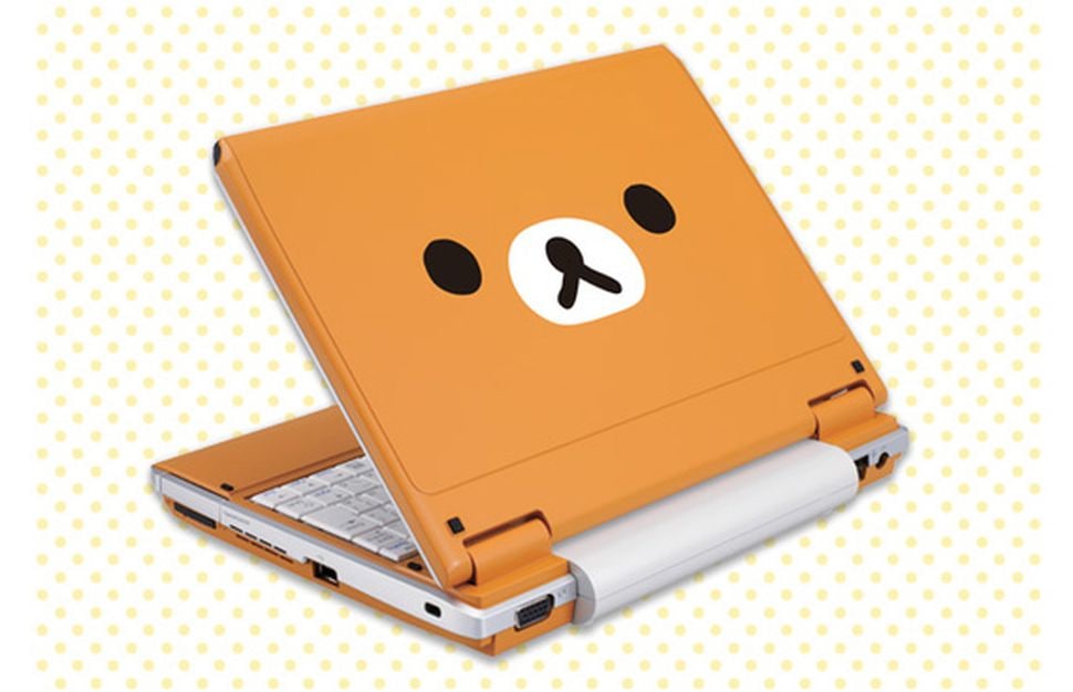 bear computer