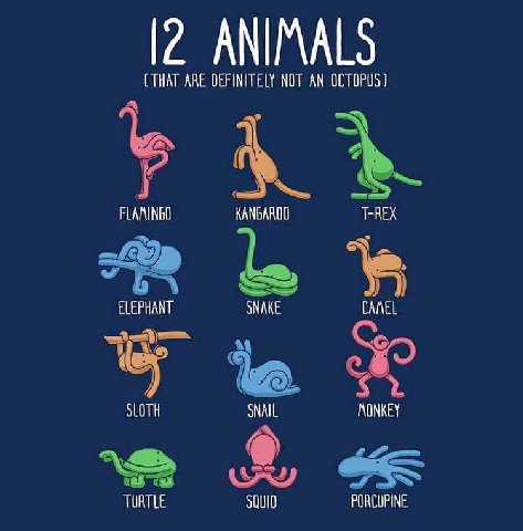 (THAT АВЕ NOT AN OCTOPUS) KANGAROO T-REX ELEPHANT SNAKE CANEL SLOTH SNAIL TURTLE SQUID PORCUPINE