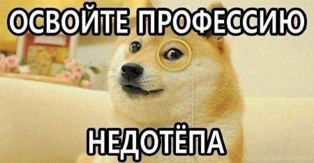 ОСВОЙТЕПРОФЕССИЮ 2. НЕДОТЕПА