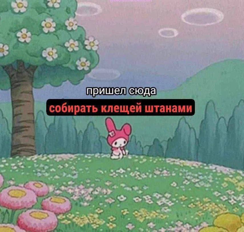 пришел сюда