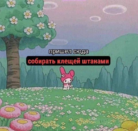 пришел сюда