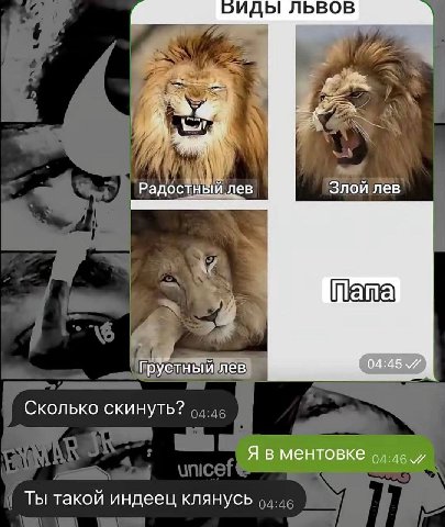 2ИДЫ ЛЬВОВ Радостный лев Злой лев Грустный лев Сколько скинуть? Я в ментовке Ты такой индеец клянусь
