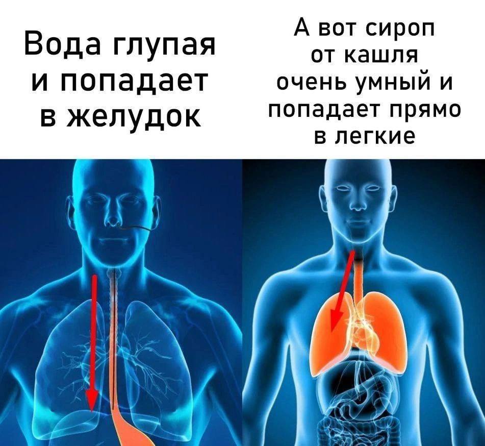 А вот сироп Вода глупая от кашля и попадает очень умный и в желудок попадает прямо в легкие AN