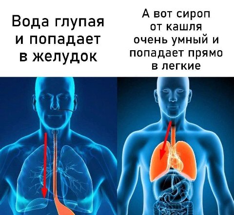 А вот сироп Вода глупая от кашля и попадает очень умный и в желудок попадает прямо в легкие AN