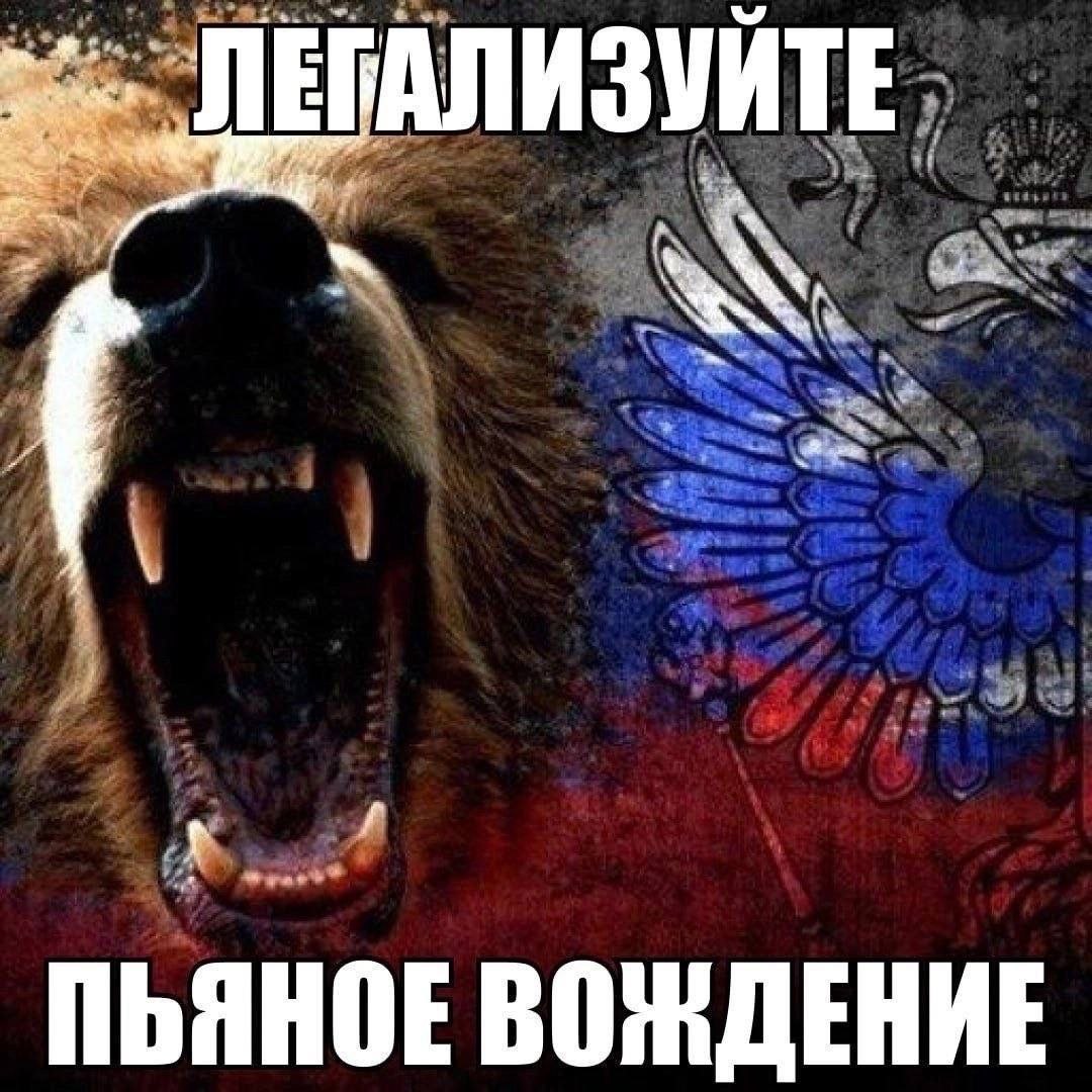 АЛИЗУЙТЕ, 8 ПЬЯНОЕ ВОЖДЕНИЕ