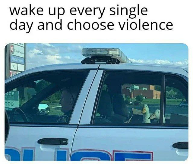 wake up every single day and choose violence