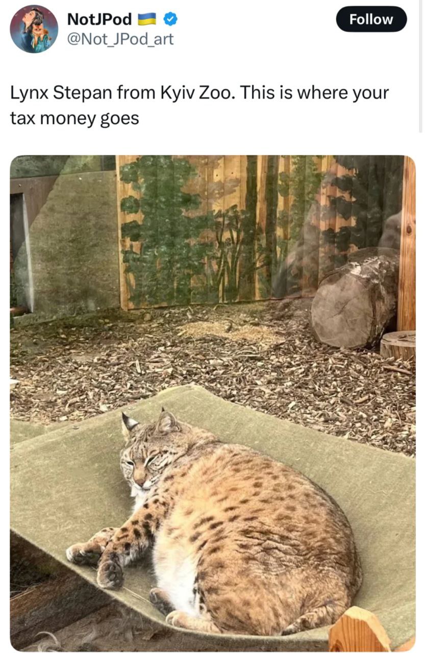 Follow @Not JPod art Lynx Stepan from Kyiv Zoo. This is where your tax money goes 4 1 я в 1 5 A 4 2 у 5 or pit 4 Cer 2 AS