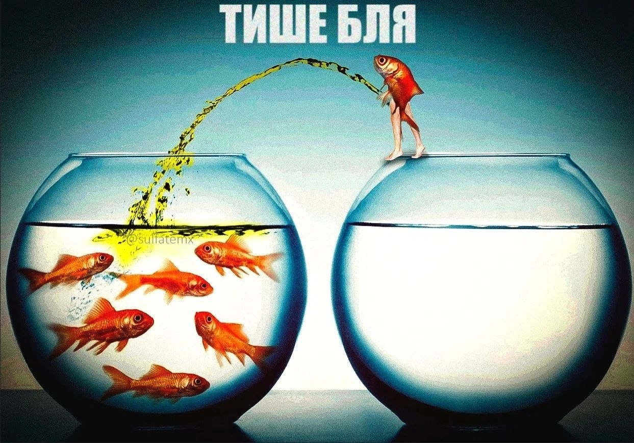 A 4 у в: sen a 3 i 3 3 7 a 4 4 i i У a A is