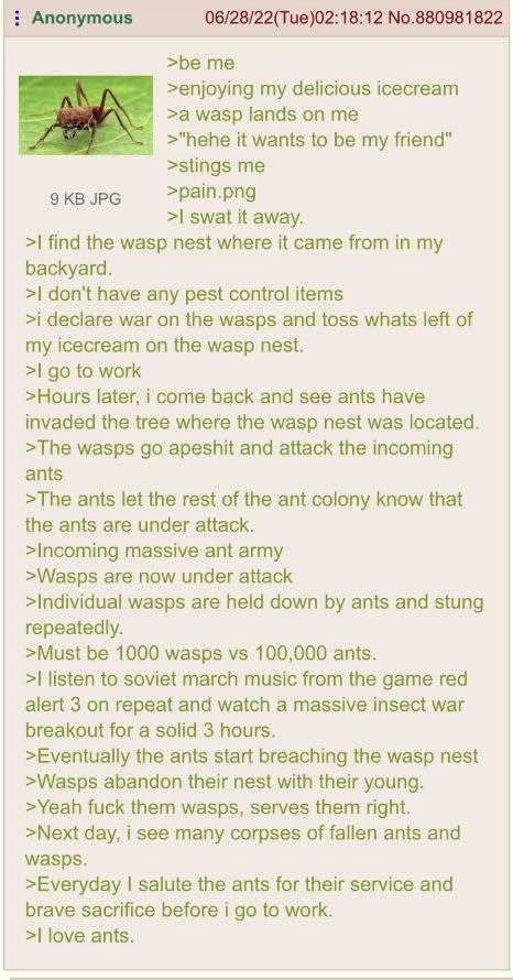 I love ants