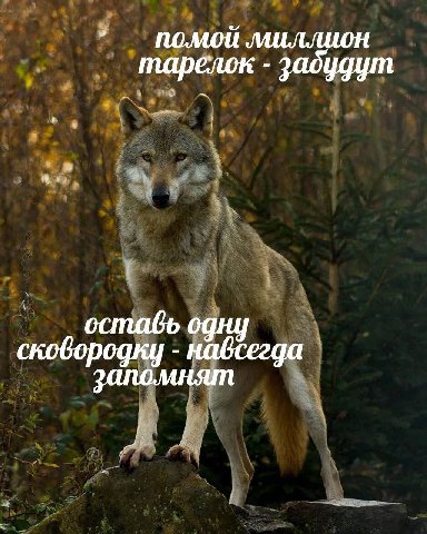 миллион тарелок оставь одну сковородку навсегда запомнят