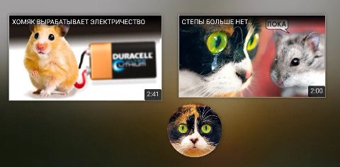 СТЕПЫ БОЛЬШЕ НЕТ... хомяк ВЫРАБАТЫВАЕТ ЭЛЕКТРИЧЕСТВО DURACELL 2:41 2:00
