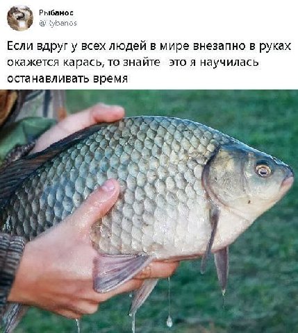 Рыбанос @Rybanos Если вдруг у всех людей в мире внезапно в руках окажется карась, то знайте- это я научилась останавливать время у
