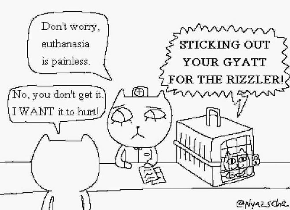Don't worry euthanasia STICKING OUT YOUR GYATT is painless FOR THE RIZZLER! No, you don't get it I'WANT it to hurt!