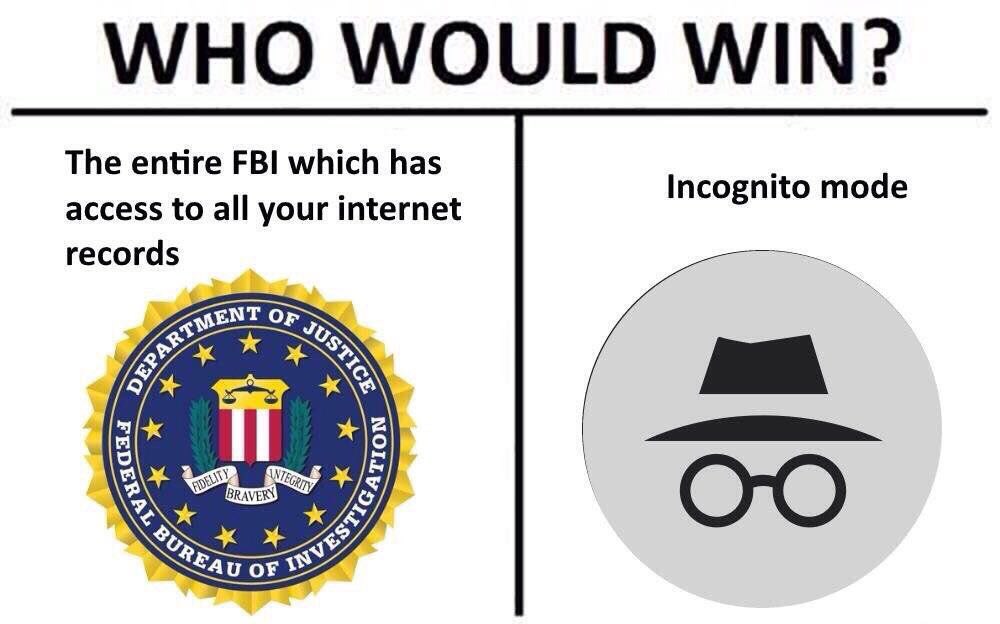WHO WOULD WIN? The entire FBI which has Incognito mode access to all your internet records Or oF
