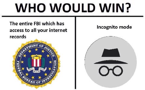 WHO WOULD WIN? The entire FBI which has Incognito mode access to all your internet records Or oF