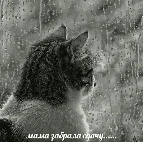 мама забрала сдачу