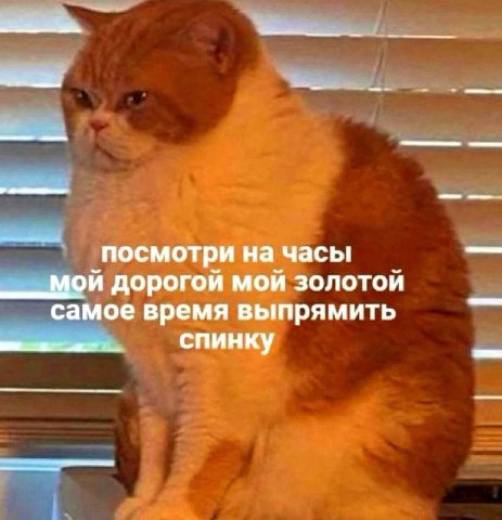 посмотри на часы мой дорогой мой золотой самое время выпрямить спинку