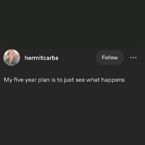 hermitcarbs Follow My five year plan is to just see what happens