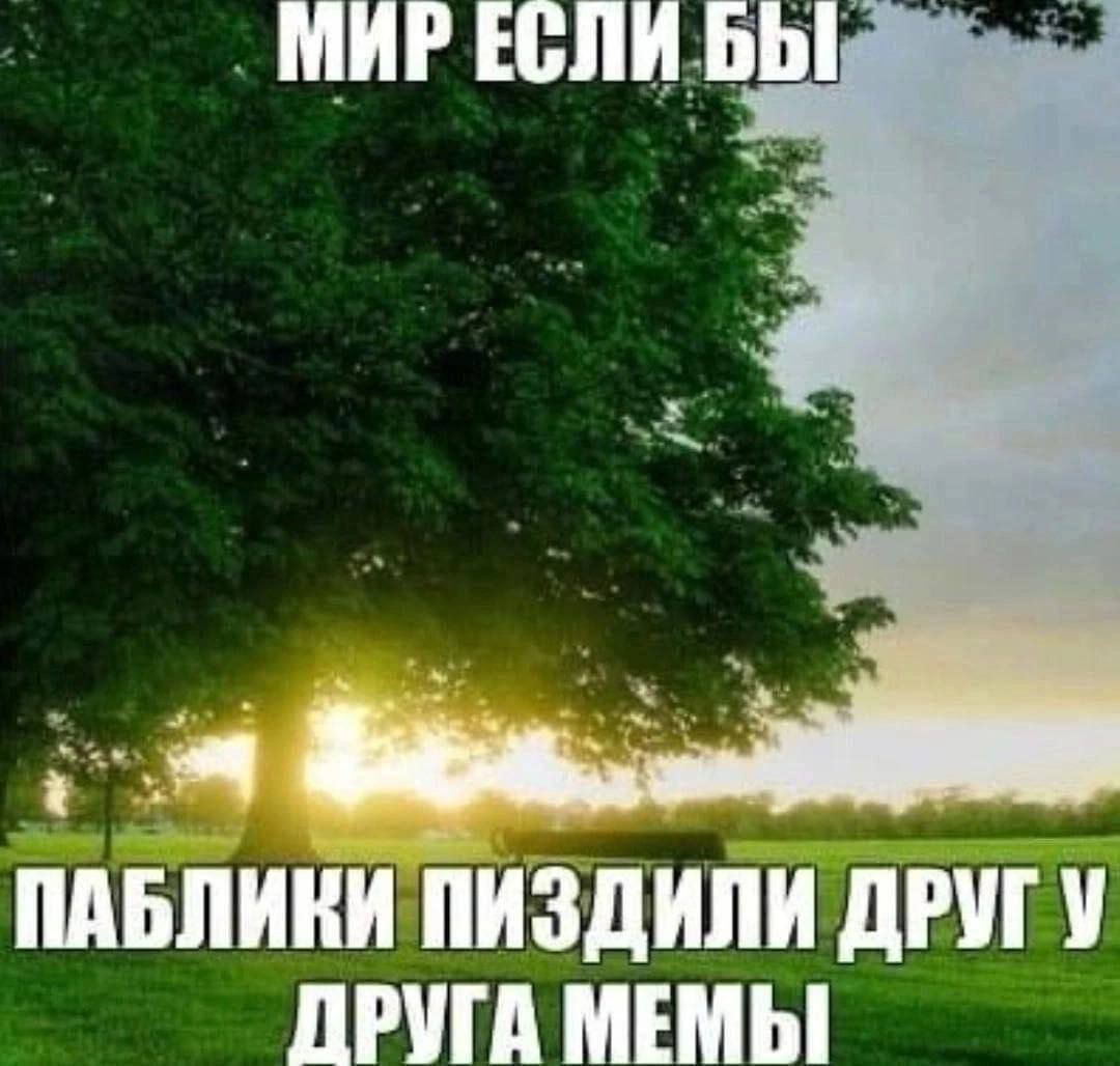 МИР ЕСЛИ БЫ ПАБЛИКИ ПИЗДИЛИ ДРУГУ ДРУГА МЕМЫ