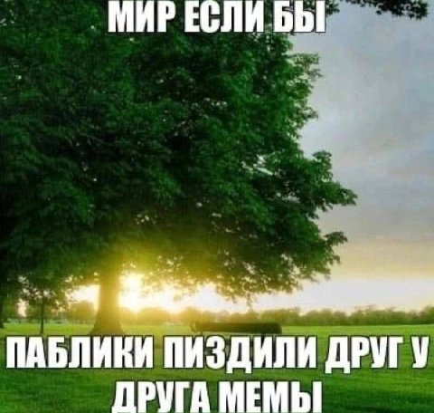 МИР ЕСЛИ БЫ ПАБЛИКИ ПИЗДИЛИ ДРУГУ ДРУГА МЕМЫ