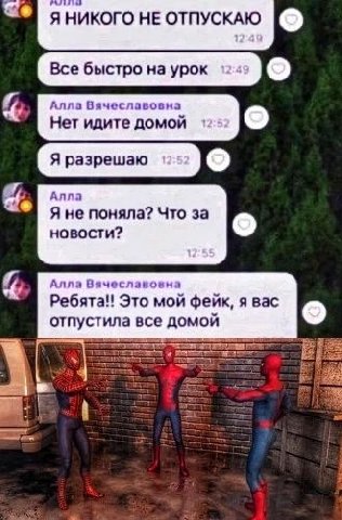 яникого НЕ ОТПУСКАЮ Все быстро наурок и Алла Вячеславовна Нет идите домой Я разрешаю Anna Я не поняла? Что за новости? Алла Вячеславовна Это мой фейк, я вас отпустила все домой