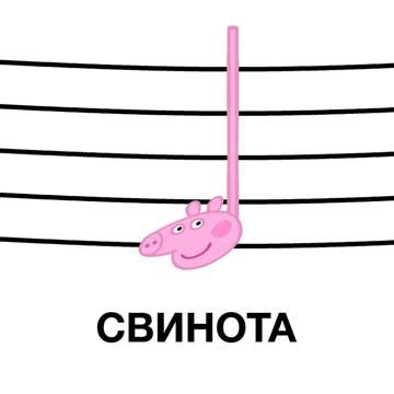 СВИНОТА