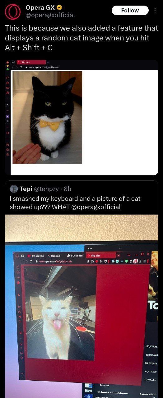 @орегавхо This is because we also added a feature that displays a random cat image when you hit Alt Shift С i Tepi @tehpzy smashed my keyboard and a picture of a cat showed up??? WHAT @operagxofficial