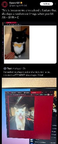 @орегавхо This is because we also added a feature that displays a random cat image when you hit Alt Shift С i Tepi @tehpzy smashed my keyboard and a picture of a cat showed up??? WHAT @operagxofficial