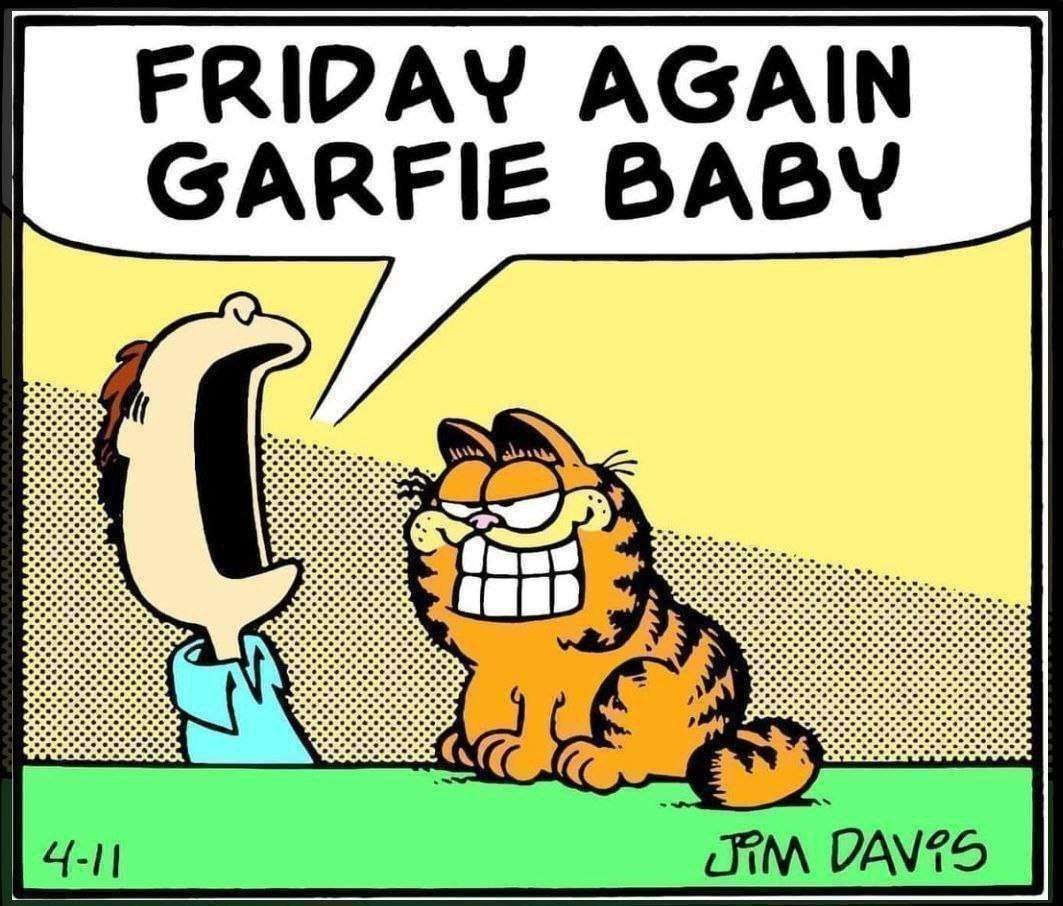 FRIDAY AGAIN GARFIE BABY